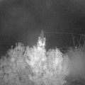 Webcam_20191023-060000