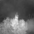 Webcam_20191023-063000