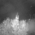 Webcam_20191023-220000