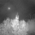 Webcam_20191024-050000