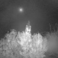 Webcam_20191024-053000