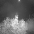 Webcam_20191024-063000