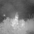 Webcam_20191025-050000