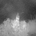 Webcam_20191025-060000