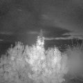 Webcam_20191025-070000