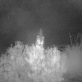 Webcam_20191026-060000