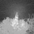 Webcam_20191026-203000