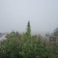Webcam_20191027-113000