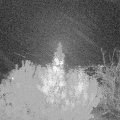 Webcam_20191027-200000