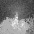 Webcam_20191027-203000