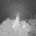 Webcam_20191027-213000