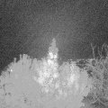 Webcam_20191027-220000