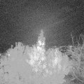 Webcam_20191028-200000