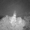 Webcam_20191029-190000