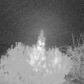 Webcam_20191030-060000