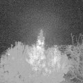 Webcam_20191030-193000