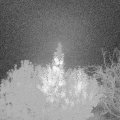 Webcam_20191101-060000