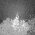 Webcam_20191101-070000
