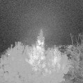 Webcam_20191101-203000