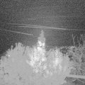 Webcam_20191101-210000