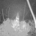 Webcam_20191102-050000
