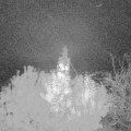 Webcam_20191102-053000