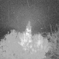 Webcam_20191102-060000