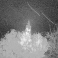Webcam_20191102-063000