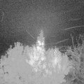 Webcam_20191102-070000
