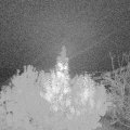 Webcam_20191102-073000