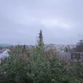 Webcam_20191102-103000