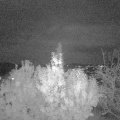 Webcam_20191102-174626