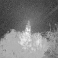 Webcam_20191102-181626