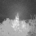 Webcam_20191102-191626