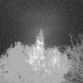 Webcam_20191103-050000
