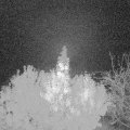 Webcam_20191103-053000