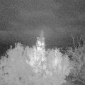 Webcam_20191103-063000