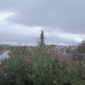 Webcam_20191103-110000