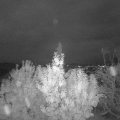Webcam_20191103-174150