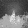 Webcam_20191103-191150