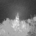 Webcam_20191103-194150