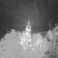 Webcam_20191103-204150