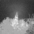 Webcam_20191103-211150