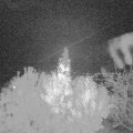Webcam_20191103-214150