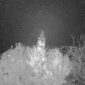 Webcam_20191104-180000