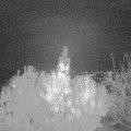 Webcam_20191105-213000