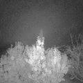 Webcam_20191106-050000