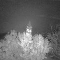 Webcam_20191106-053000