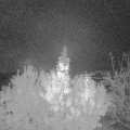 Webcam_20191106-060000
