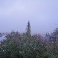 Webcam_20191106-073000